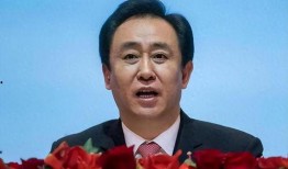 官方爆料许家印视频播放,官方爆料视频背后的真实故事